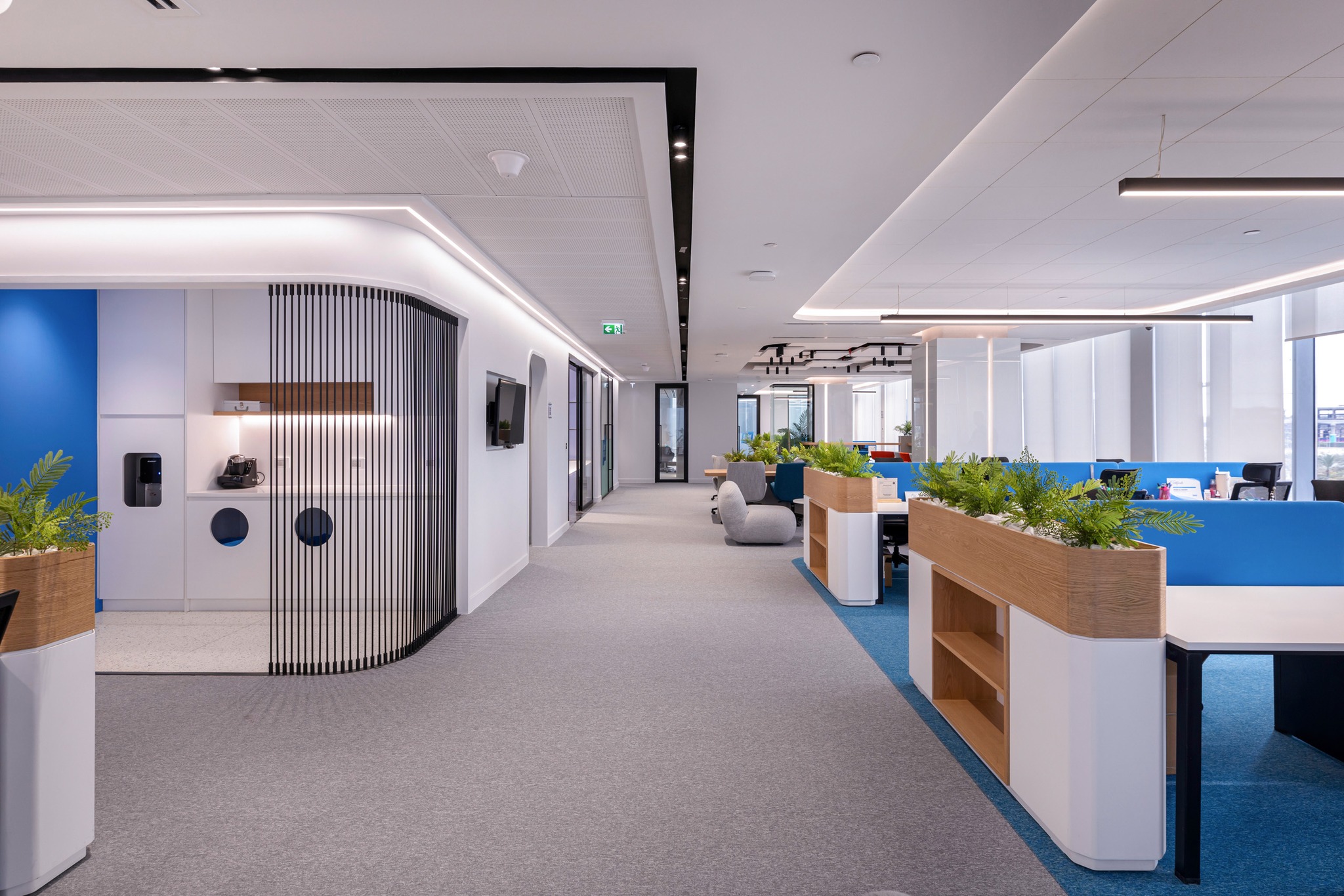 Echelle Architects