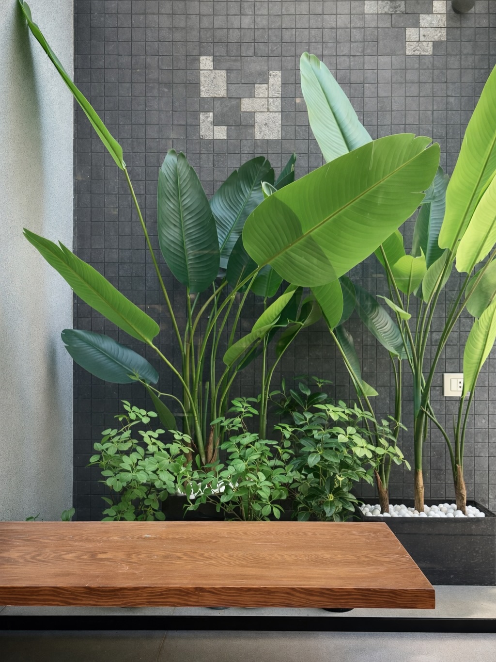 Figure Interiors