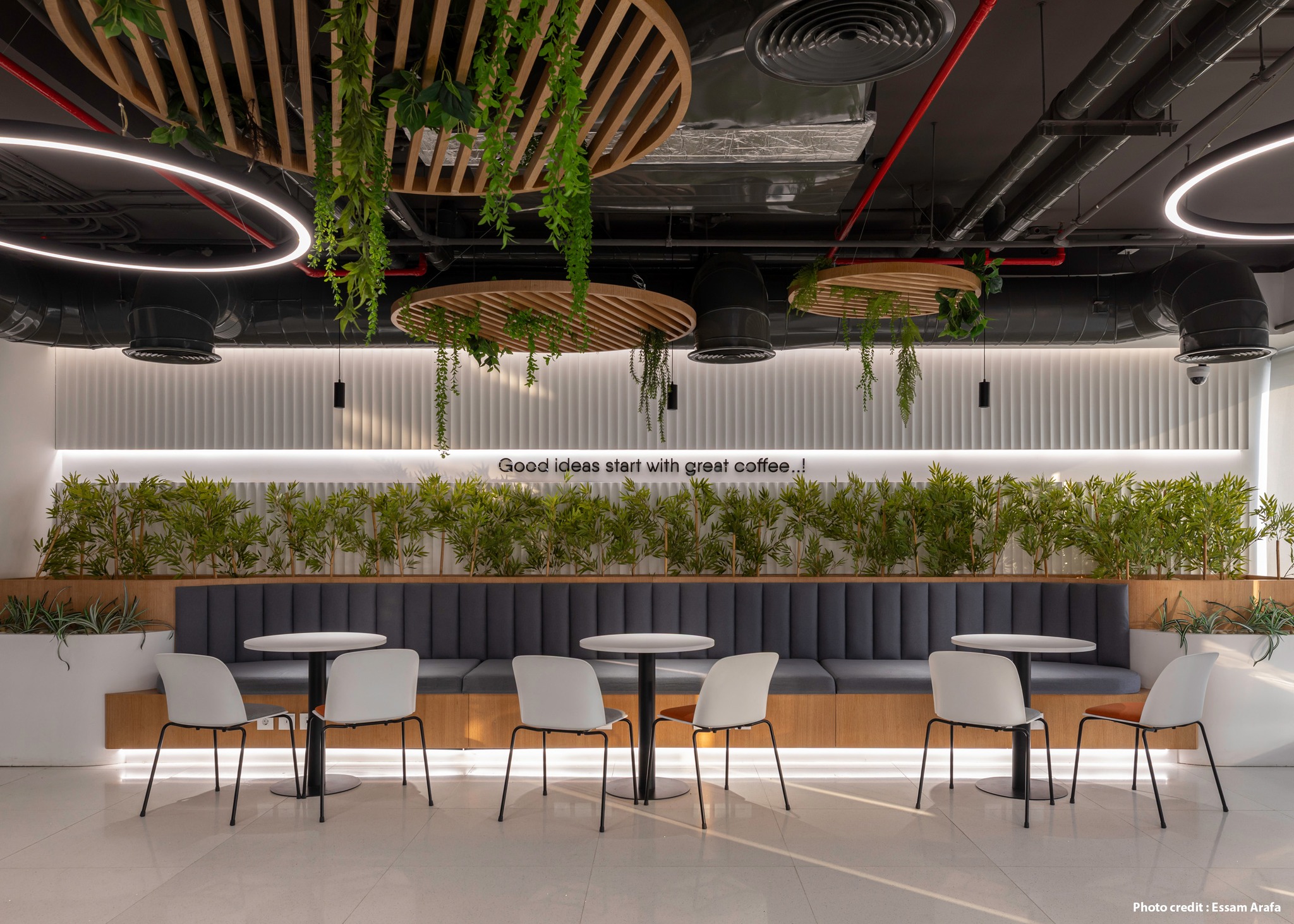 Echelle Architects