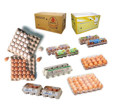 الشركة المتحدة لتغليف الدواجن والمعدات | United Co for Poultry Packaging and Equipment
