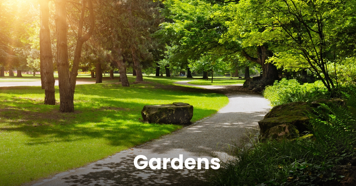 ذا آيكون جاردنز | The Icon Gardens