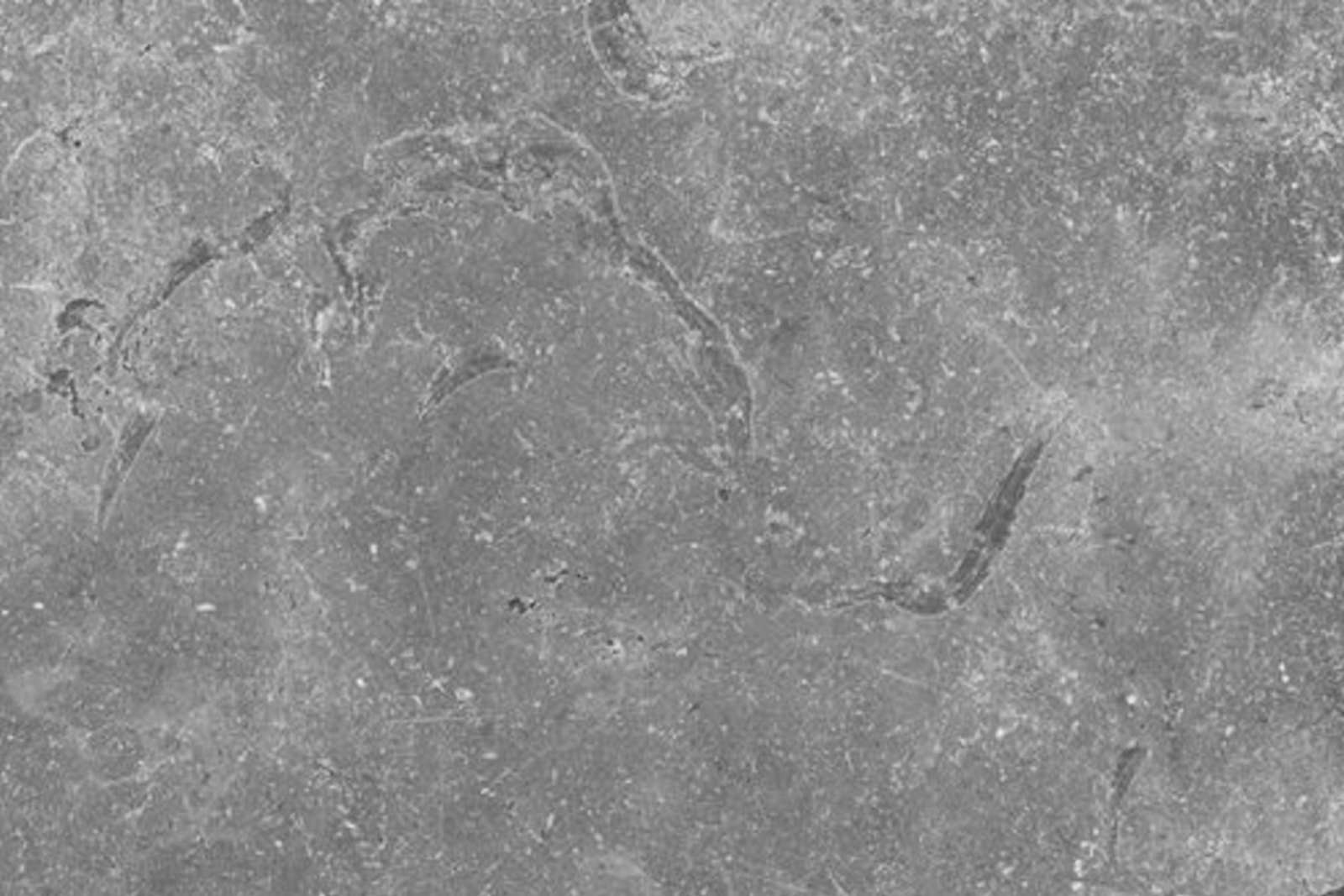 سيتي ستون جروب | City Stone Group
