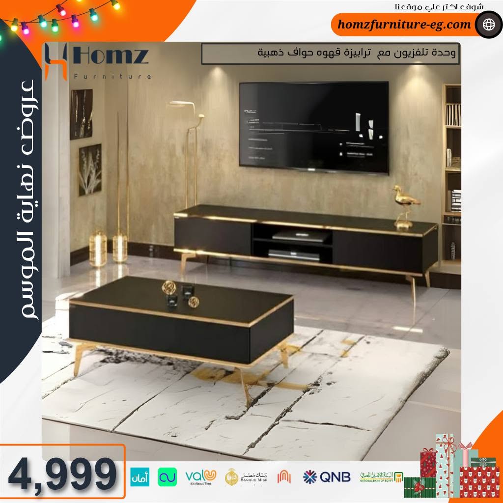 homz Furniture