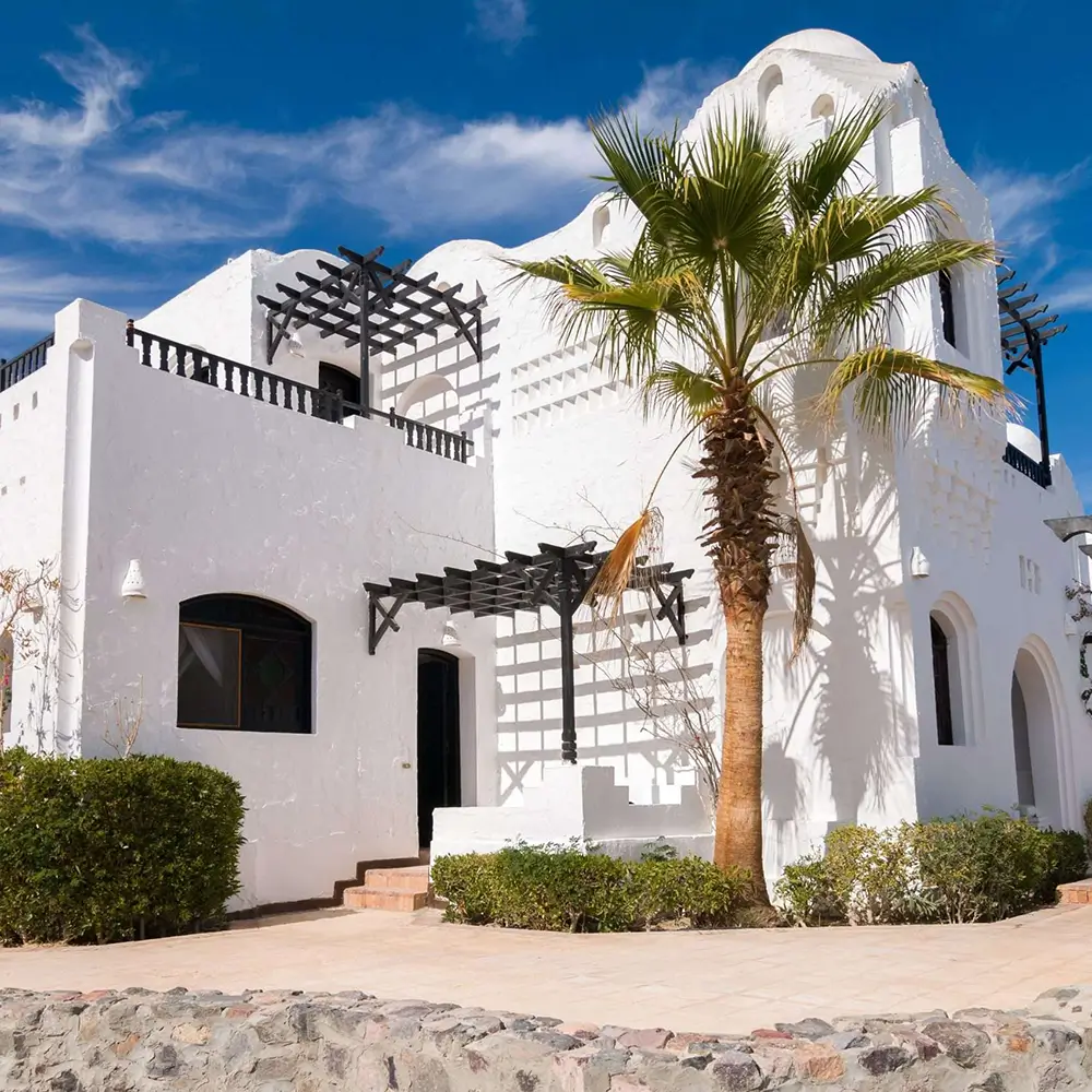 داتش ريل إستيت إيجيبت | Dutch Real Estate Egypt