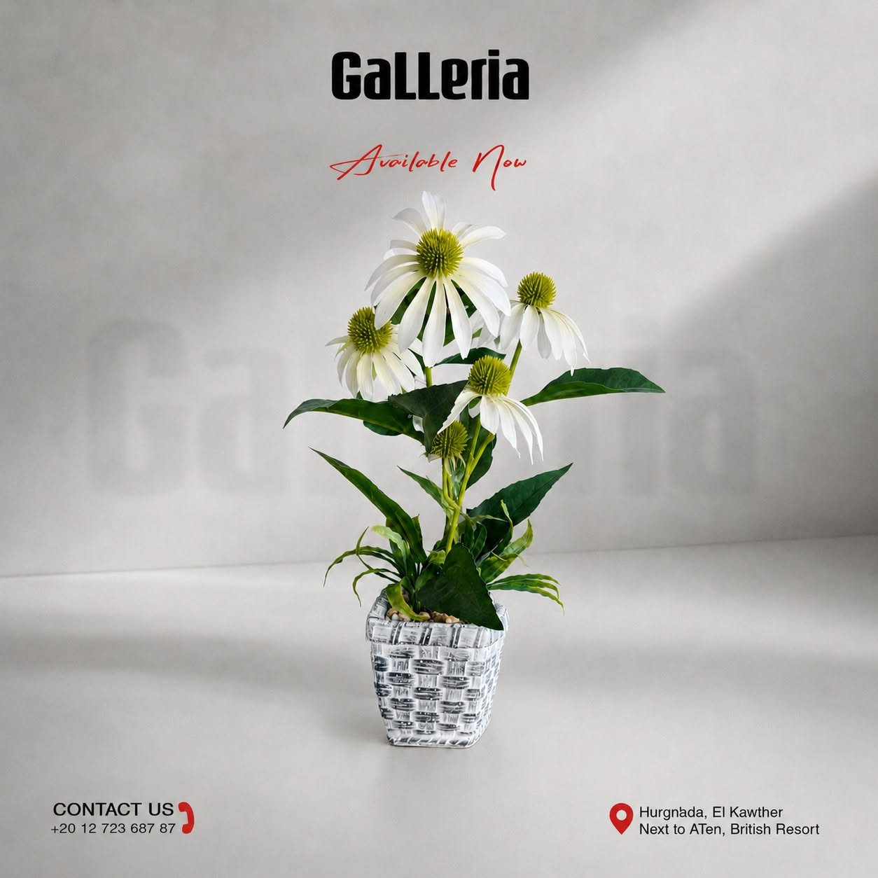 Galleria
