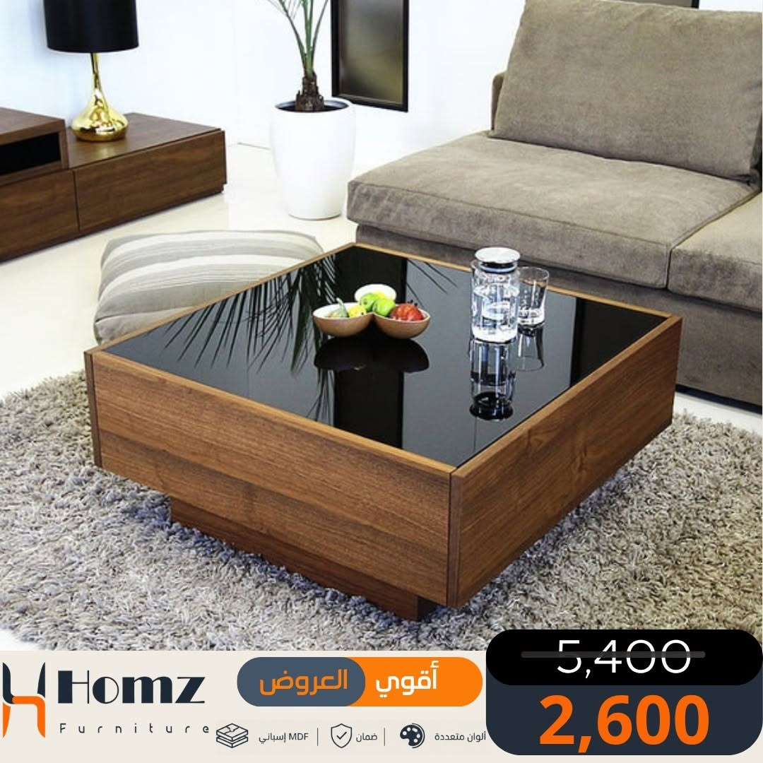 Homz furniture