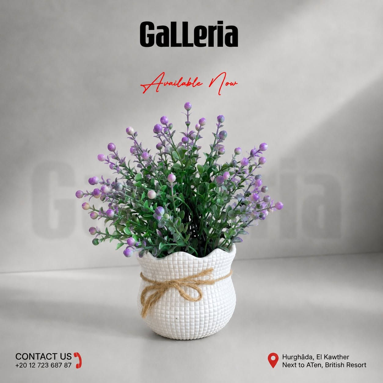 Galleria