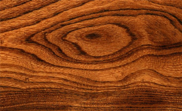 دريم وود | Dream Wood