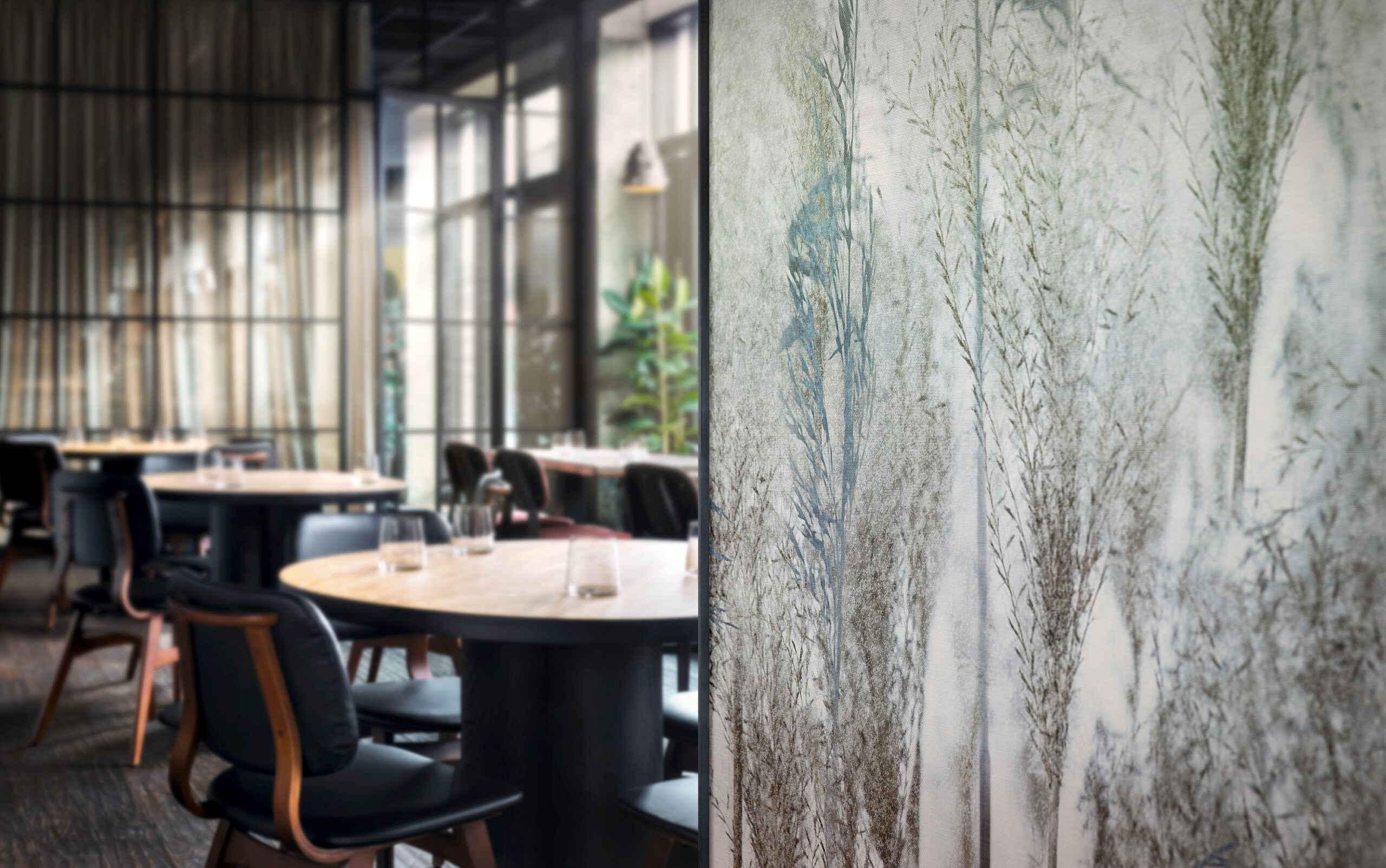 ديكويارد | Decoyard