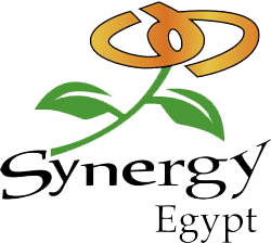 سينرجي مصر | Synergy Egypt logo
