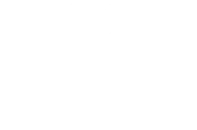 Beauty & Beyond International logo