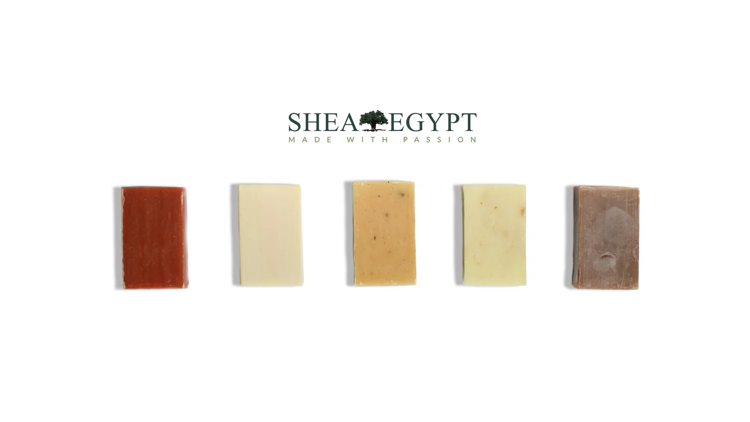 Shea Egypt